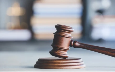 hitta domar på person gratis